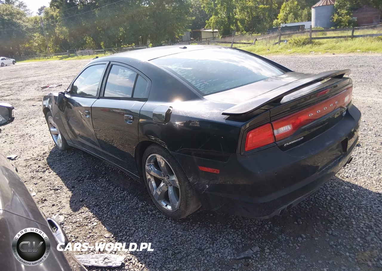 2013 Dodge Charger R-T Max VIN:2C3CDXCT0DH630042 - 3