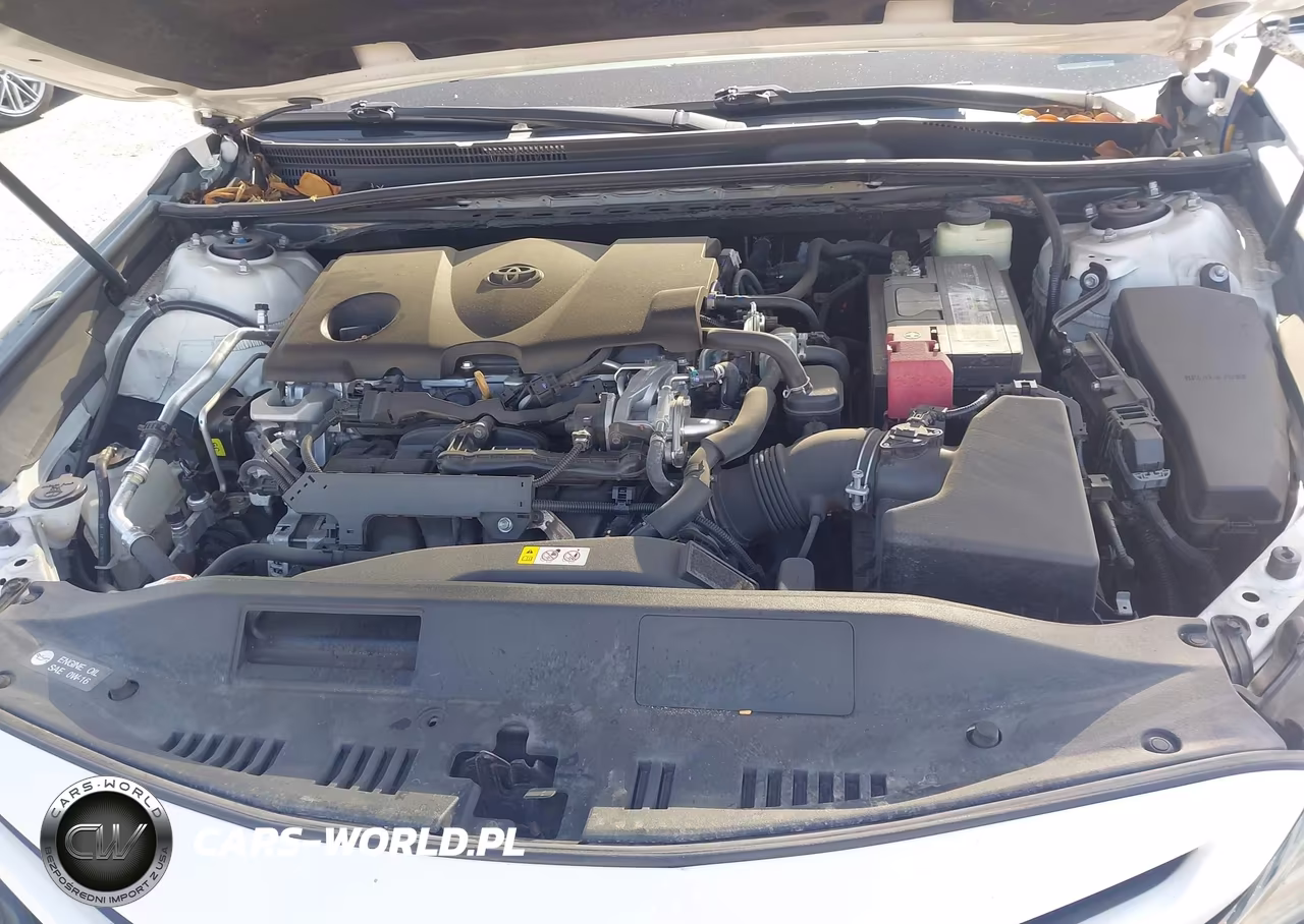 2018 Toyota Camry Xse VIN:4T1B61HK9JU020286 - 10