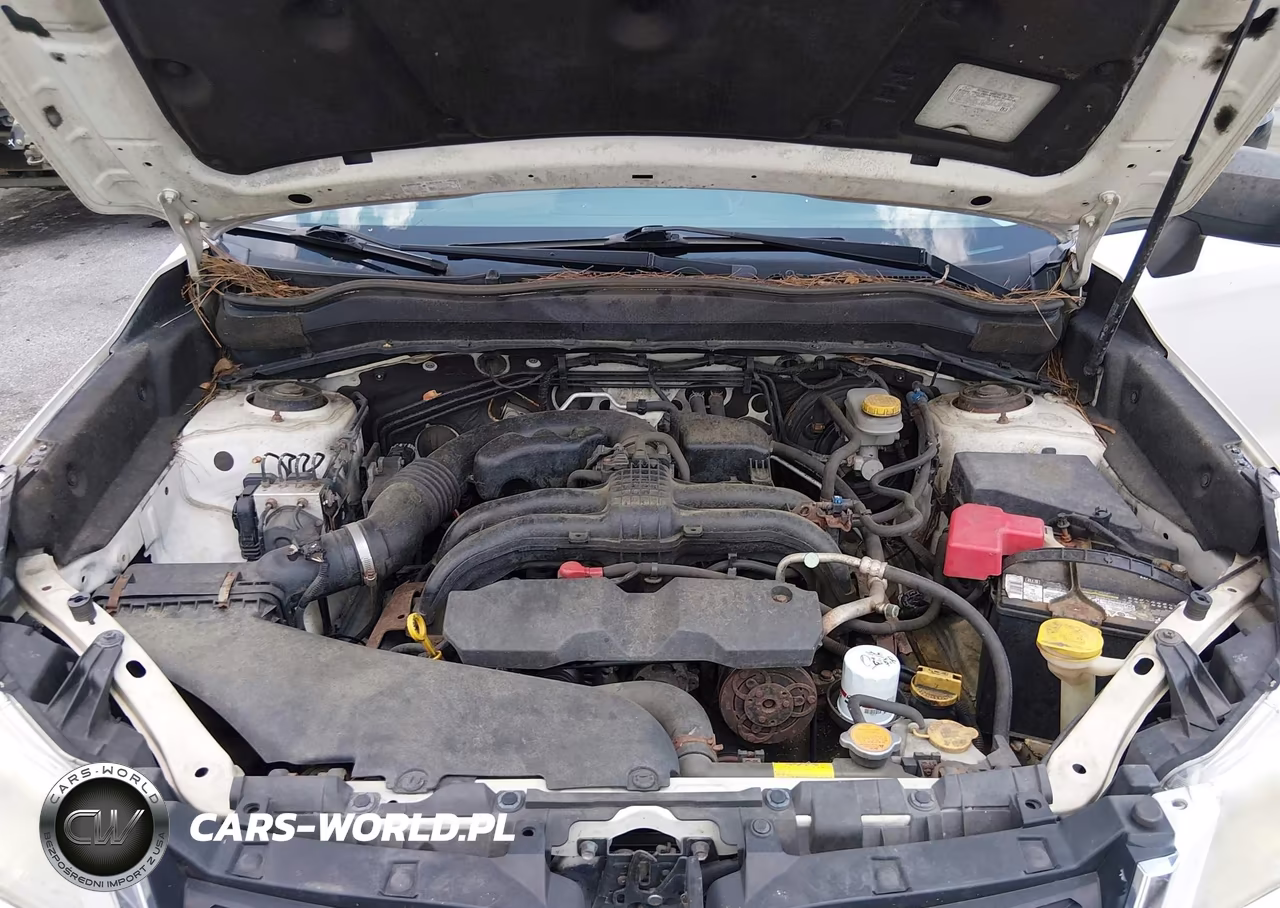 2014 Subaru Forester 2.5I VIN:JF2SJAAC8EH489360 - 10
