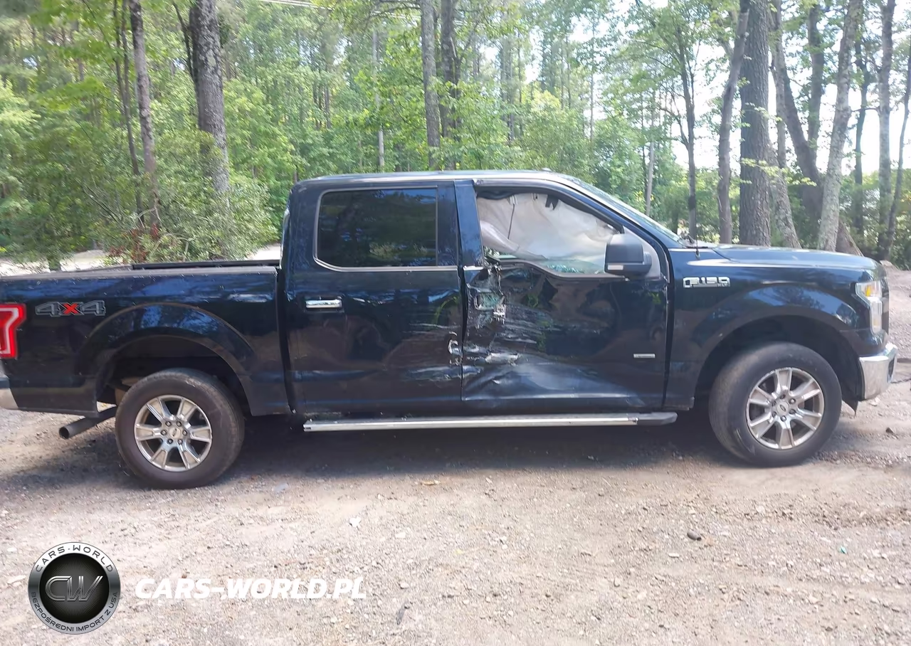 2016 Ford F-150 Xlt VIN:1FTEW1EGXGKF87886 - 13