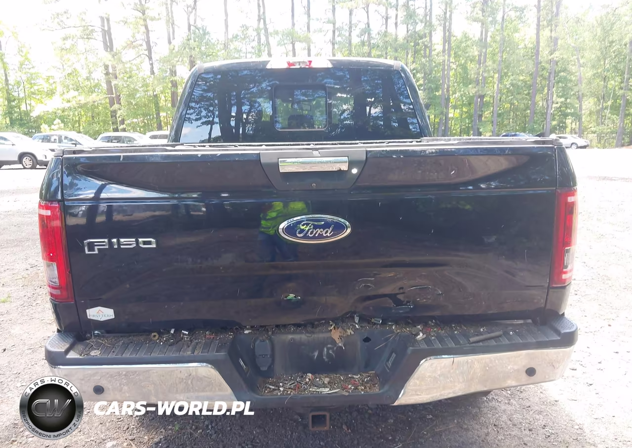 2016 Ford F-150 Xlt VIN:1FTEW1EGXGKF87886 - 16