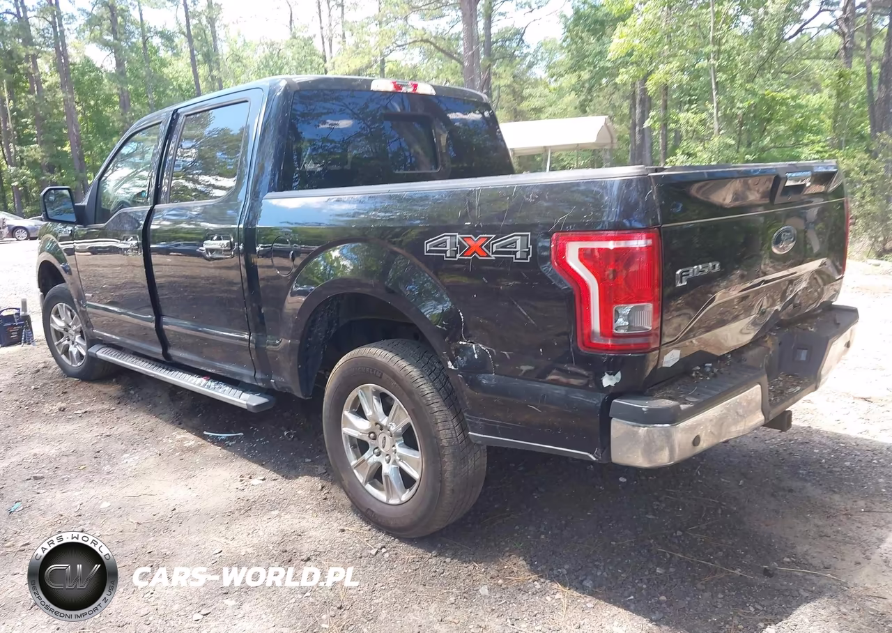 2016 Ford F-150 Xlt VIN:1FTEW1EGXGKF87886 - 3