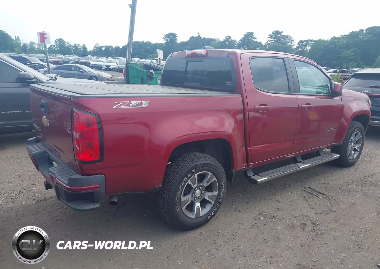2018 Chevrolet Colorado 4Wd Z71 VIN:1GCGTDEN5J1181903 - 4