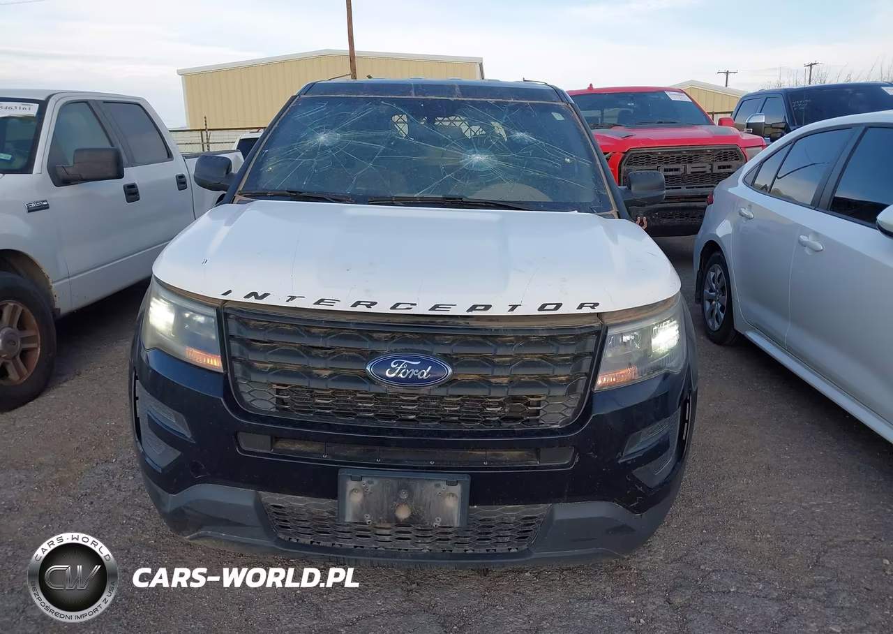 2018 Ford Police Interceptor Utility VIN:1FM5K8AT8JGC95134 - 12