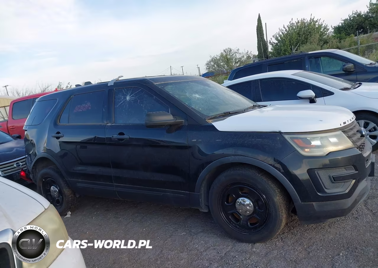 2018 Ford Police Interceptor Utility VIN:1FM5K8AT8JGC95134 - 13