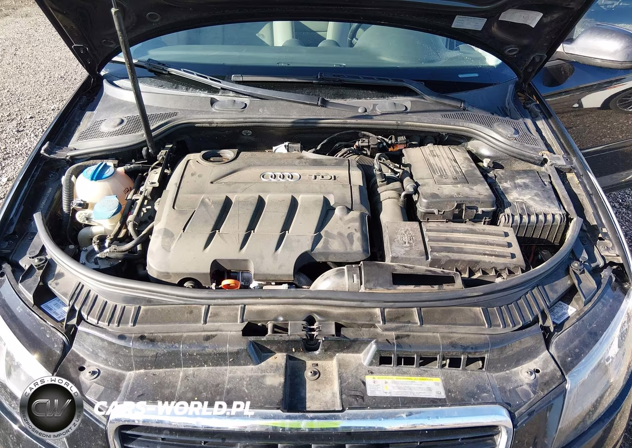 2011 Audi A3 2.0 Tdi Premium VIN:WAUKJAFM6BA142384 - 10