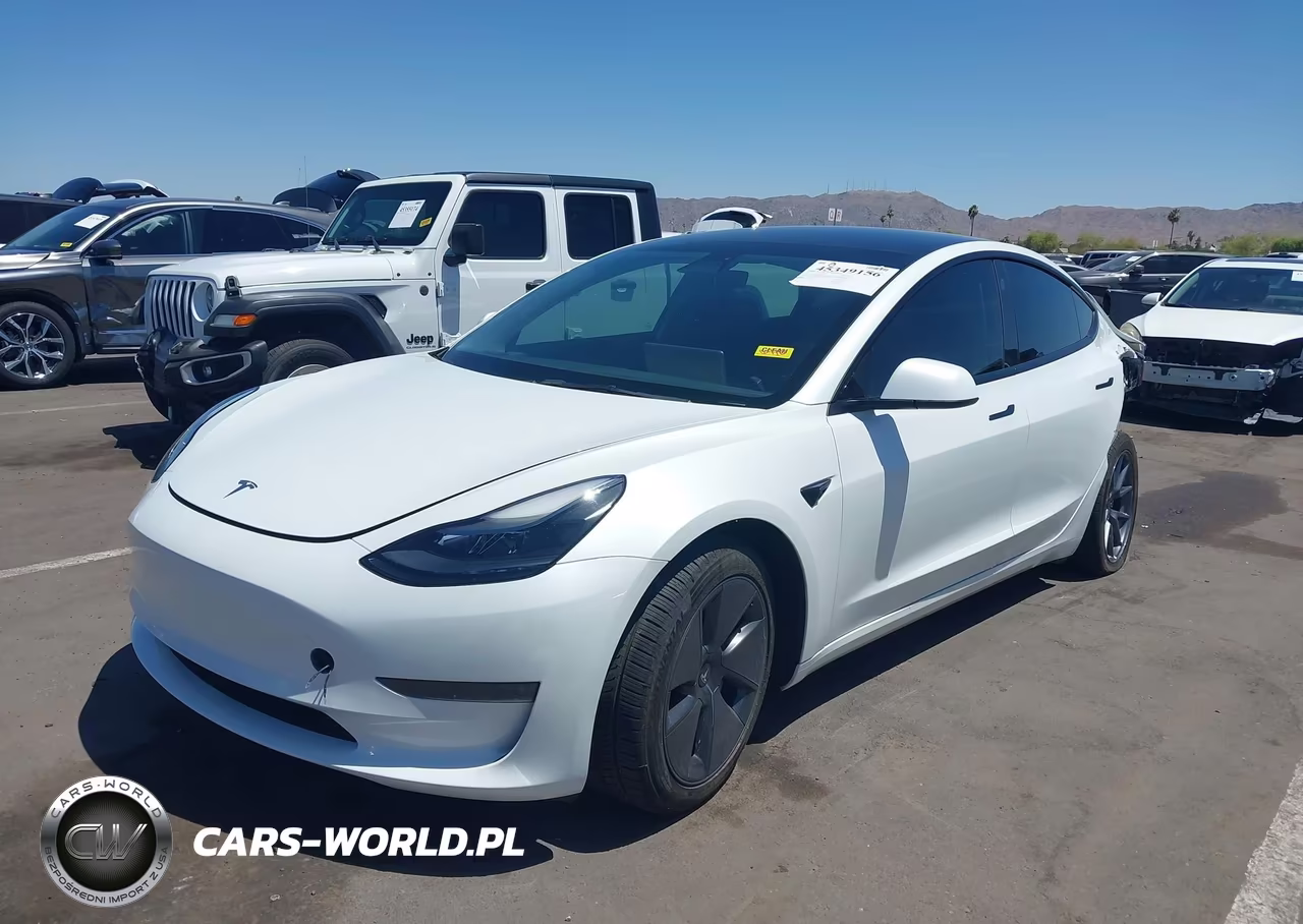 2023 Tesla Model 3 Rear-Wheel Drive VIN:5YJ3E1EA5PF409788 - 2