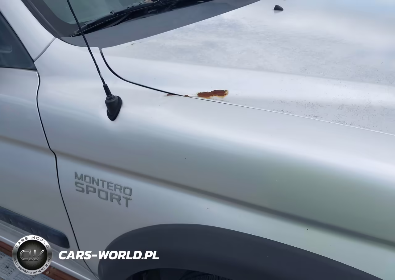 2003 Mitsubishi Montero Sport Es-Ls VIN:JA4LS21HX3J020174 - 12