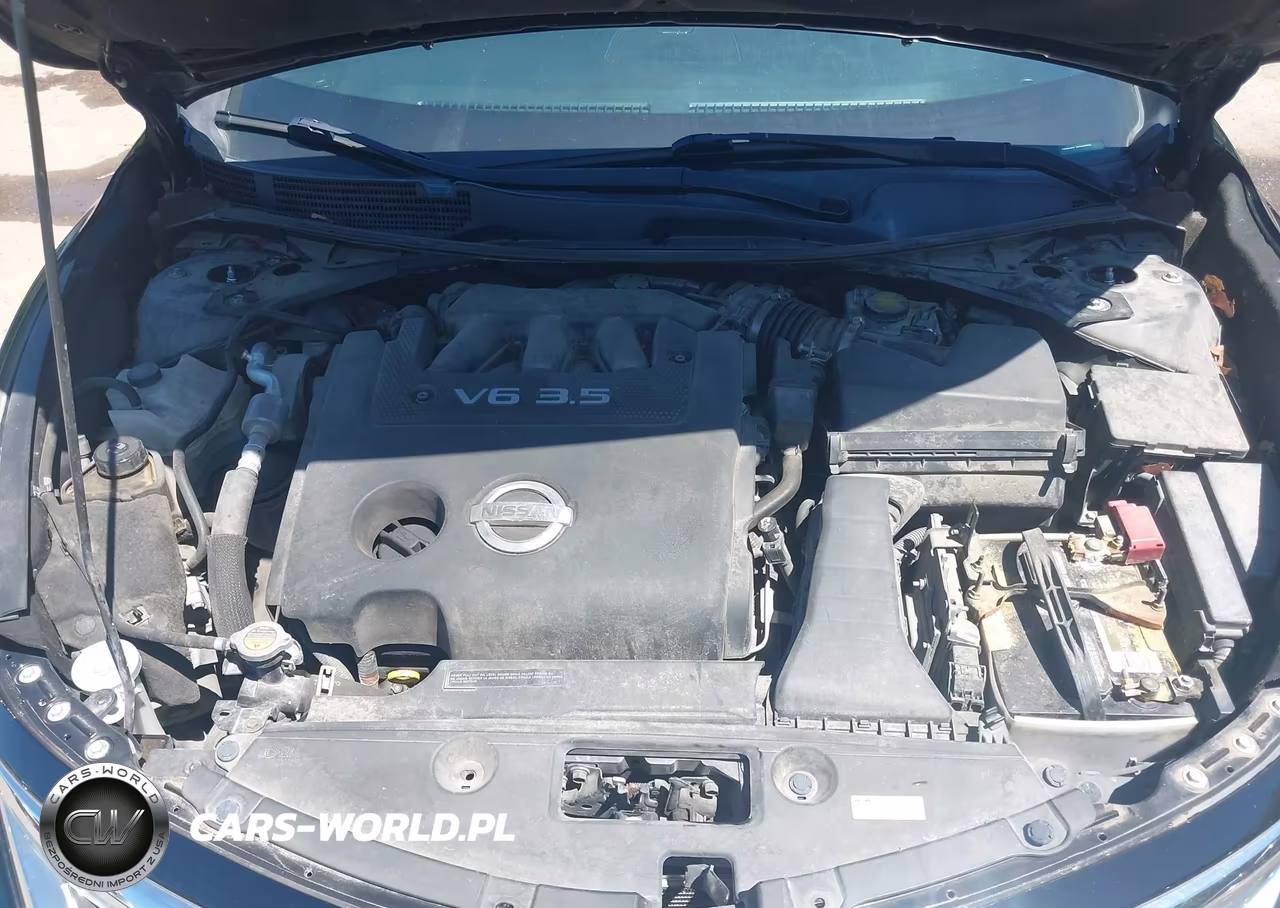 2013 Nissan Altima 3.5 Sl VIN:1N4BL3AP8DC250383 - 10