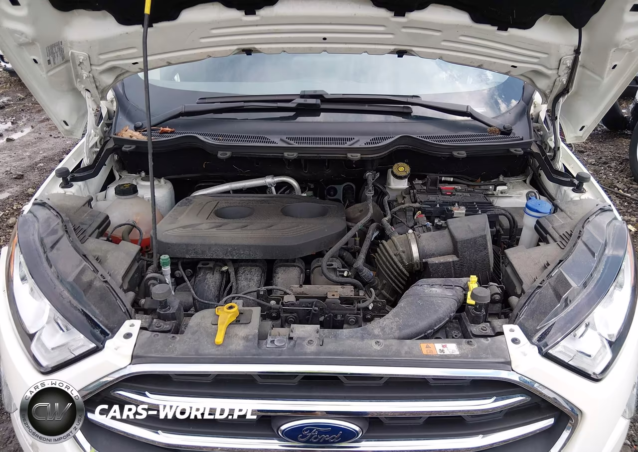 2020 Ford Ecosport Titanium VIN:MAJ6S3KL3LC362183 - 10