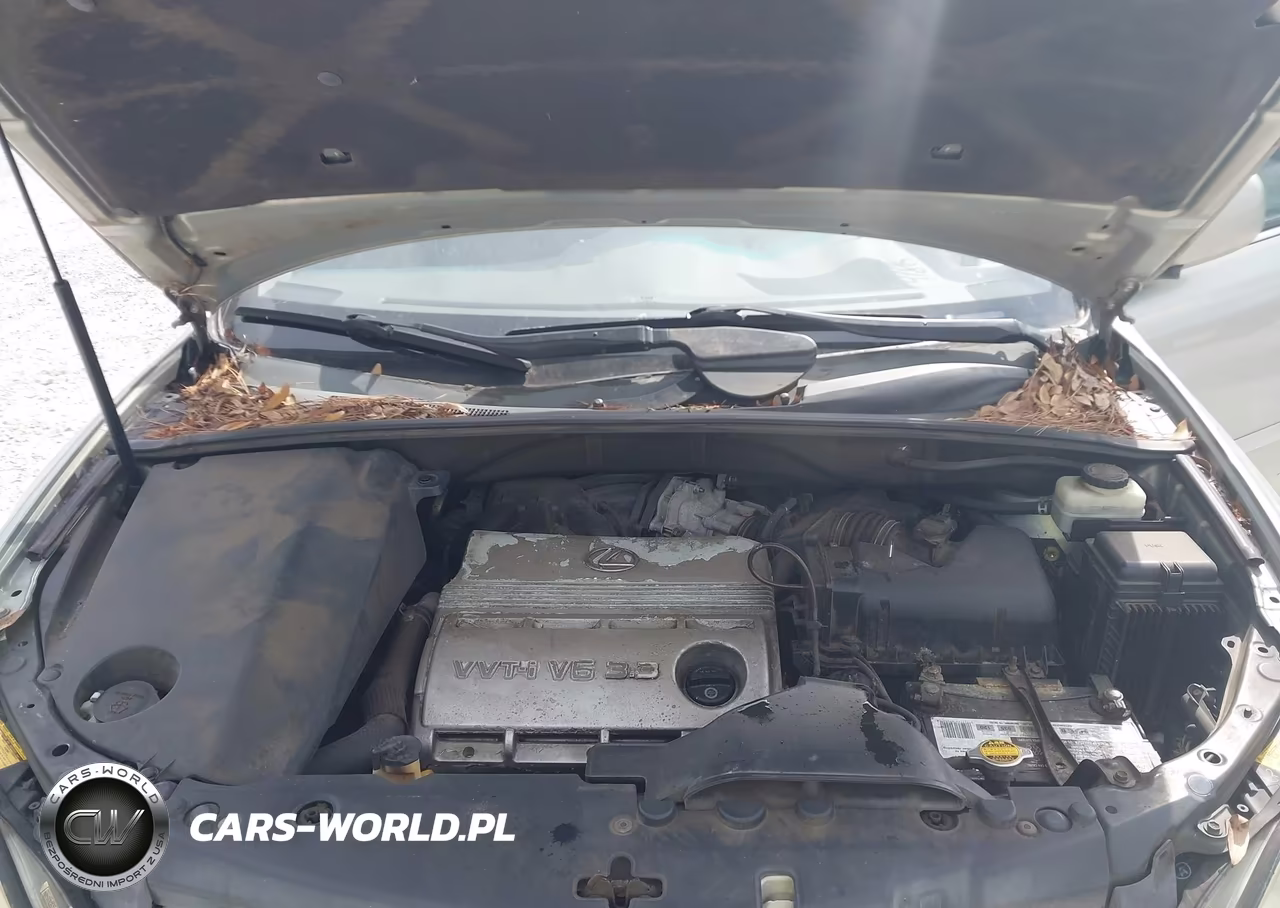 2005 Lexus Rx 330 VIN:2T2GA31UX5C032719 - 10