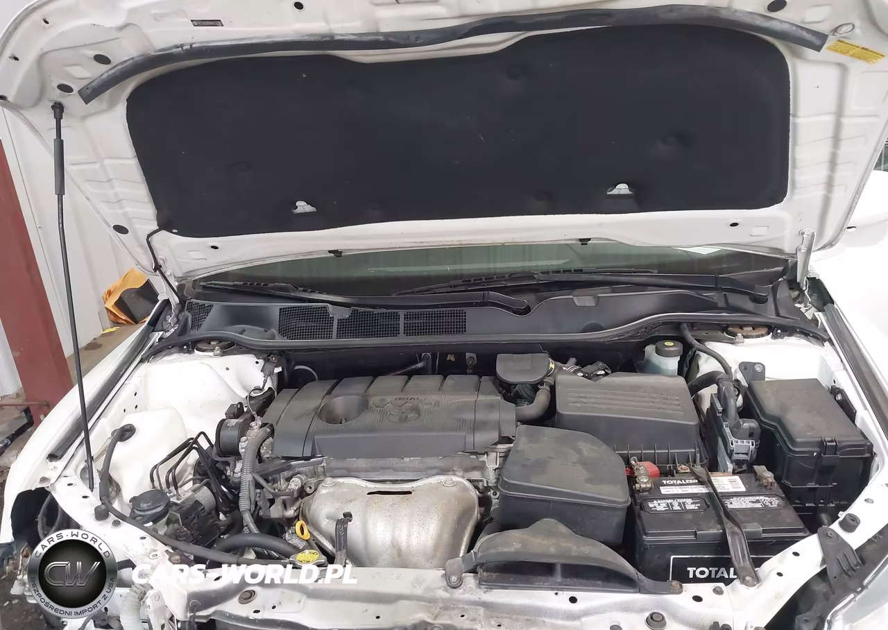 2010 Toyota Venza VIN:4T3ZA3BBXAU032987 - 10
