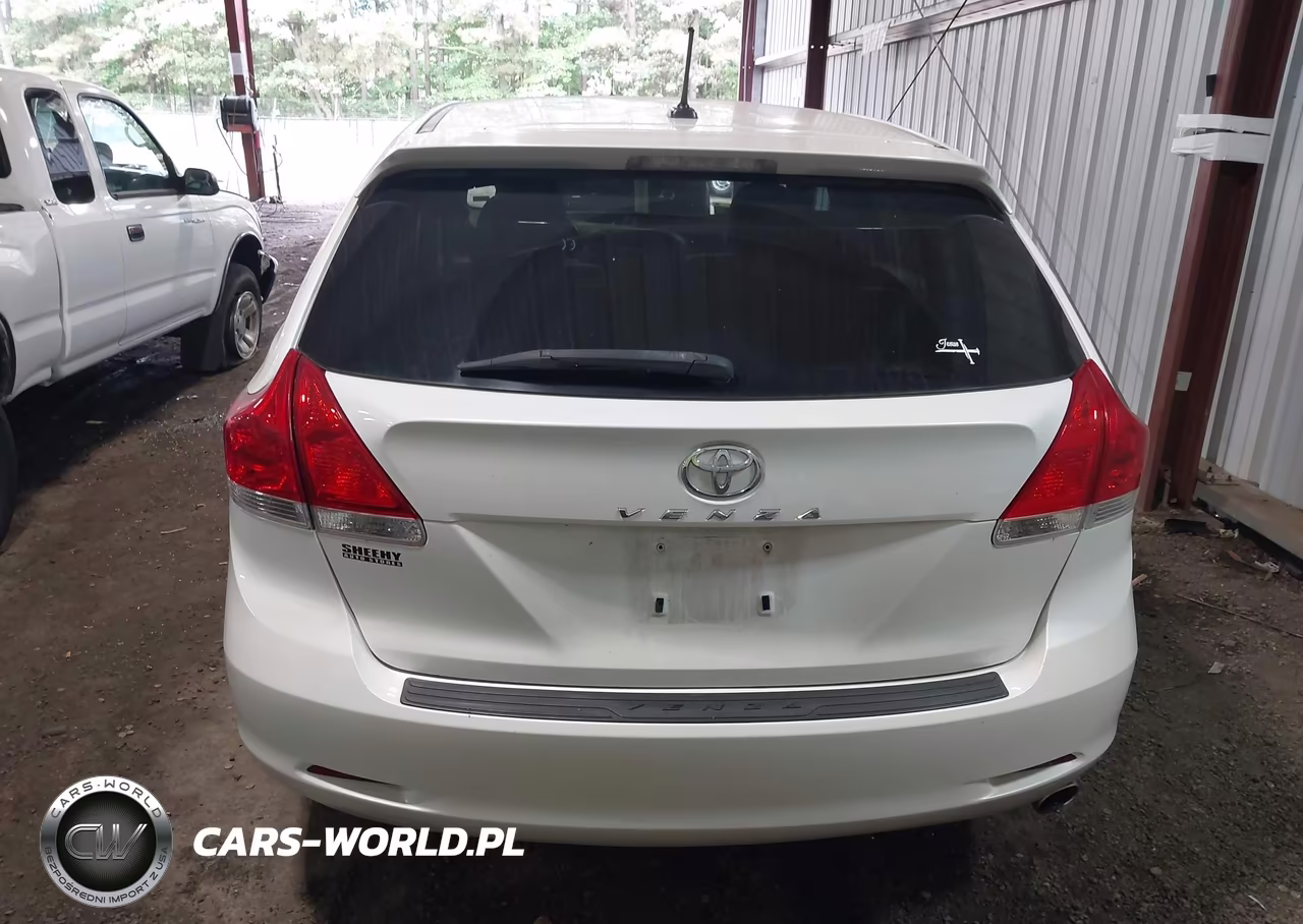 2010 Toyota Venza VIN:4T3ZA3BBXAU032987 - 17