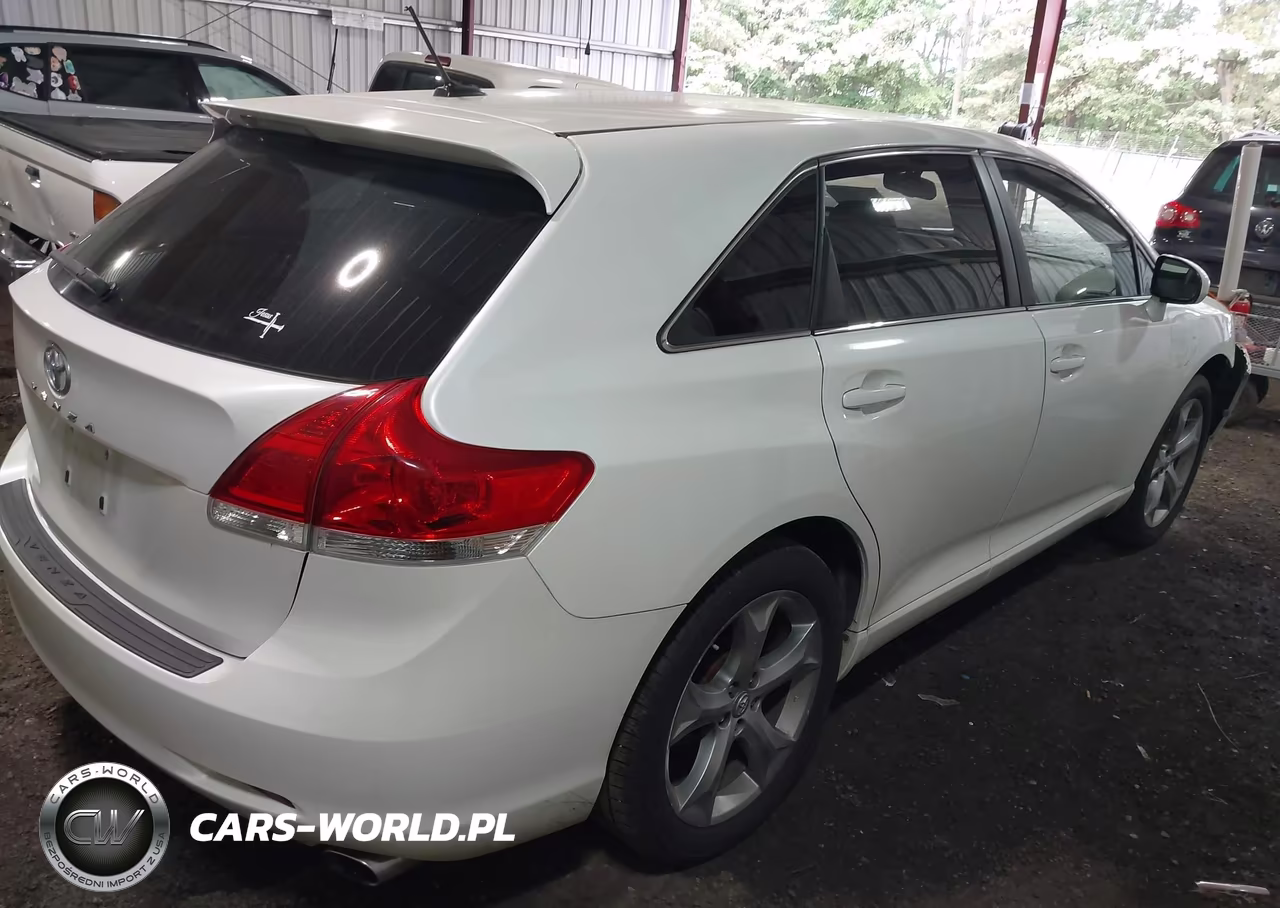 2010 Toyota Venza VIN:4T3ZA3BBXAU032987 - 4