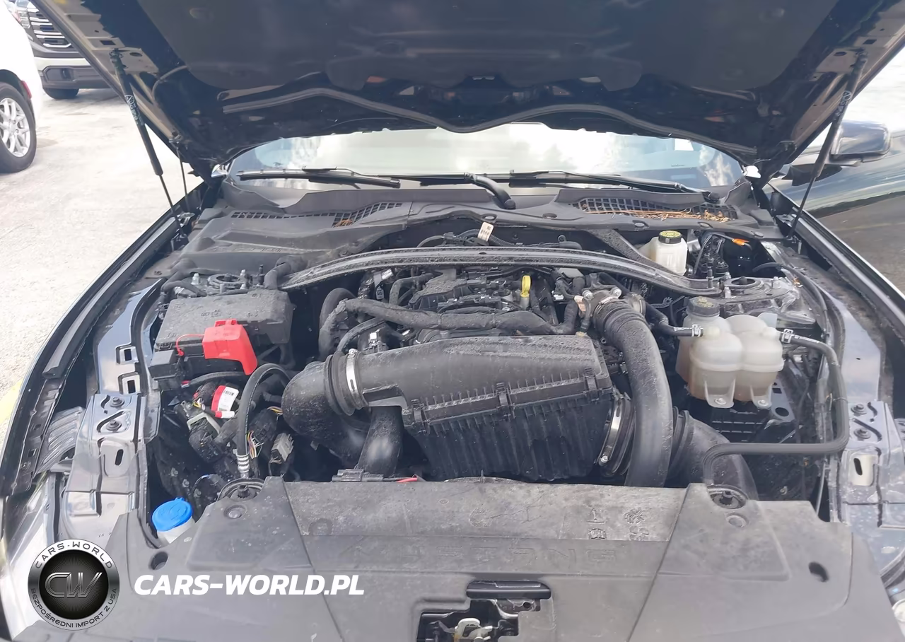 2025 Ford Mustang Ecoboost Premium VIN:1FAGP8UH9S5111005 - 10
