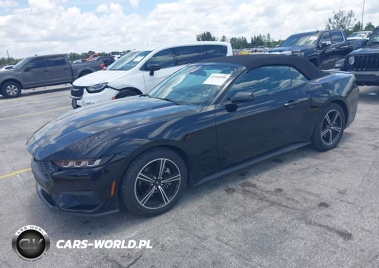 2025 Ford Mustang Ecoboost Premium VIN:1FAGP8UH9S5111005 - 2