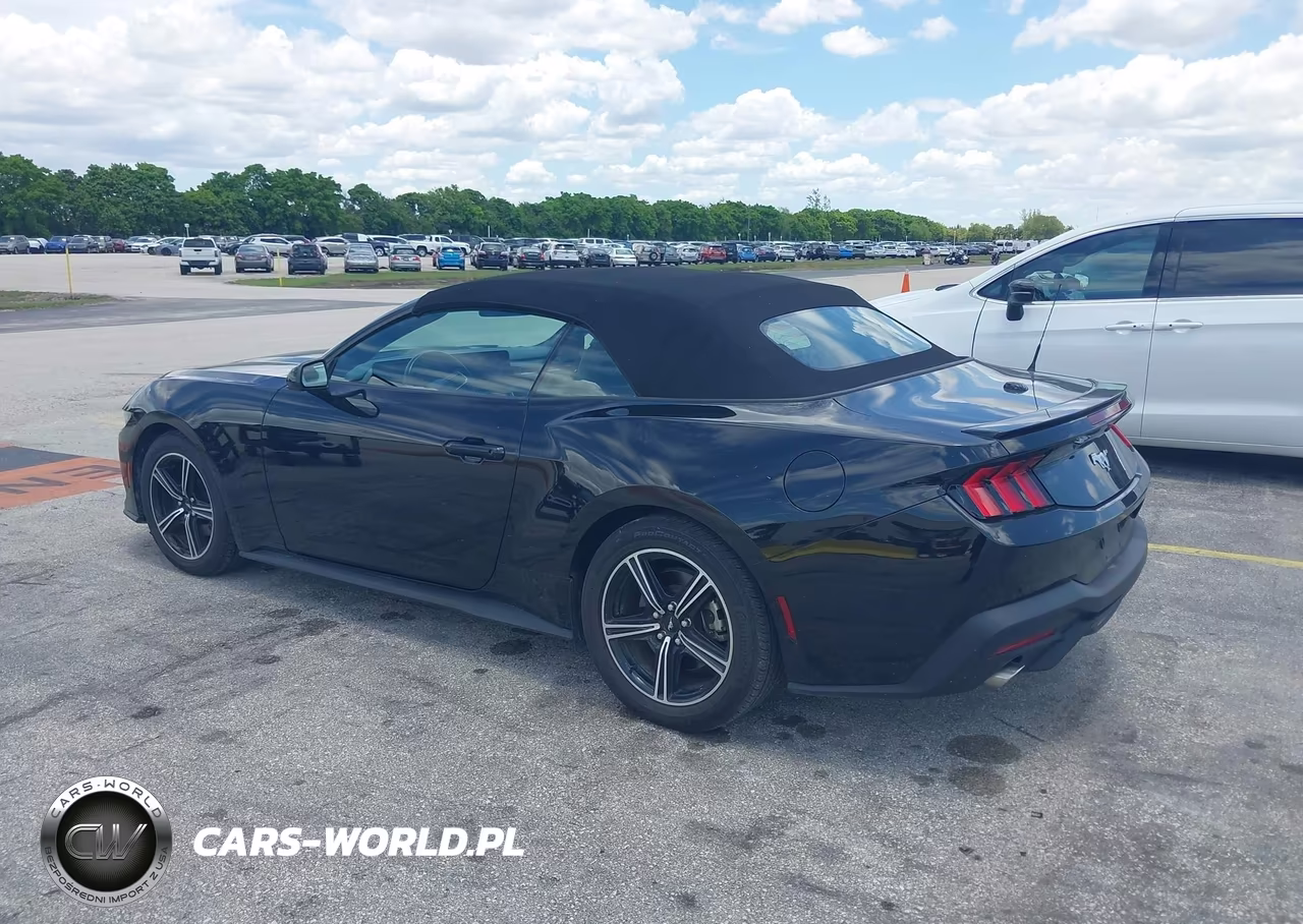 2025 Ford Mustang Ecoboost Premium VIN:1FAGP8UH9S5111005 - 3
