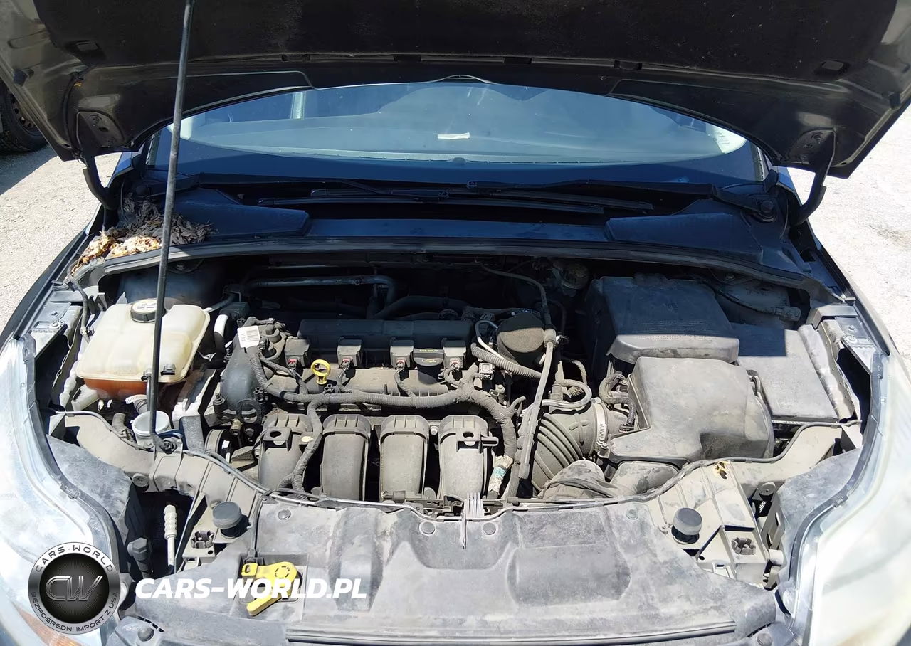 2014 Ford Focus Se VIN:1FADP3F29EL228839 - 10