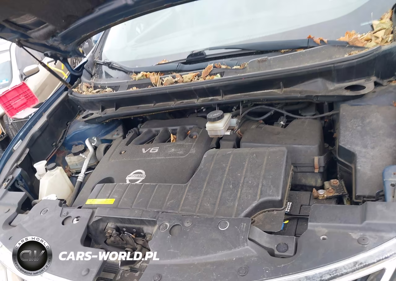2009 Nissan Murano Sl VIN:JN8AZ18W89W205721 - 10