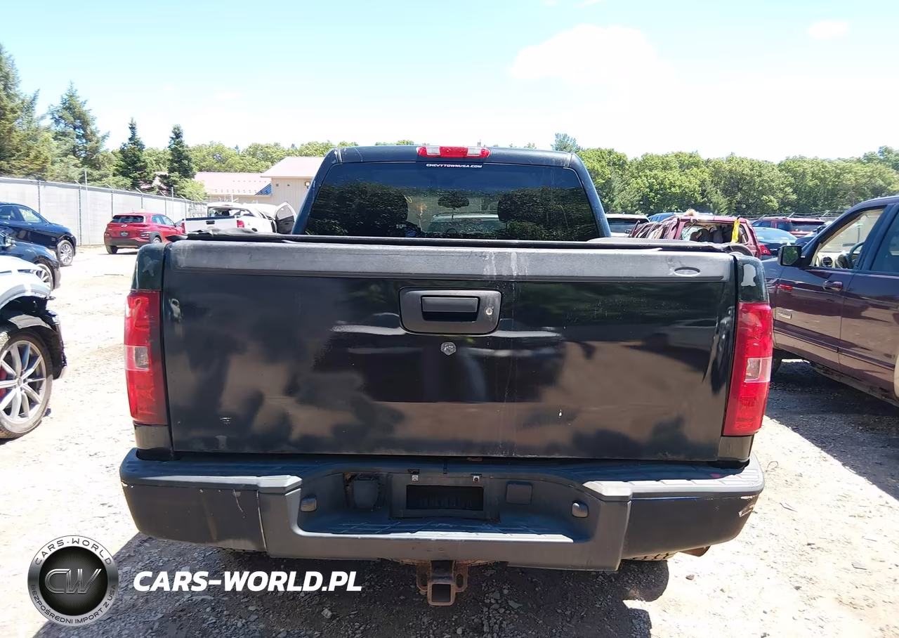2010 Chevrolet Silverado 1500 Lt VIN:3GCRKSE31AG203816 - 16