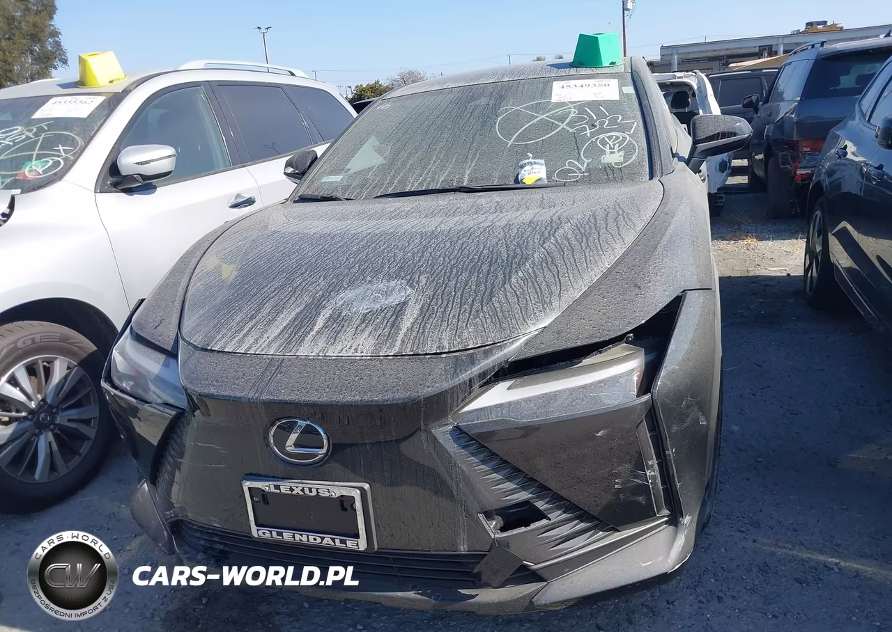 2025 Lexus Rz 300E VIN:JTJABABB7SA012837 - 13