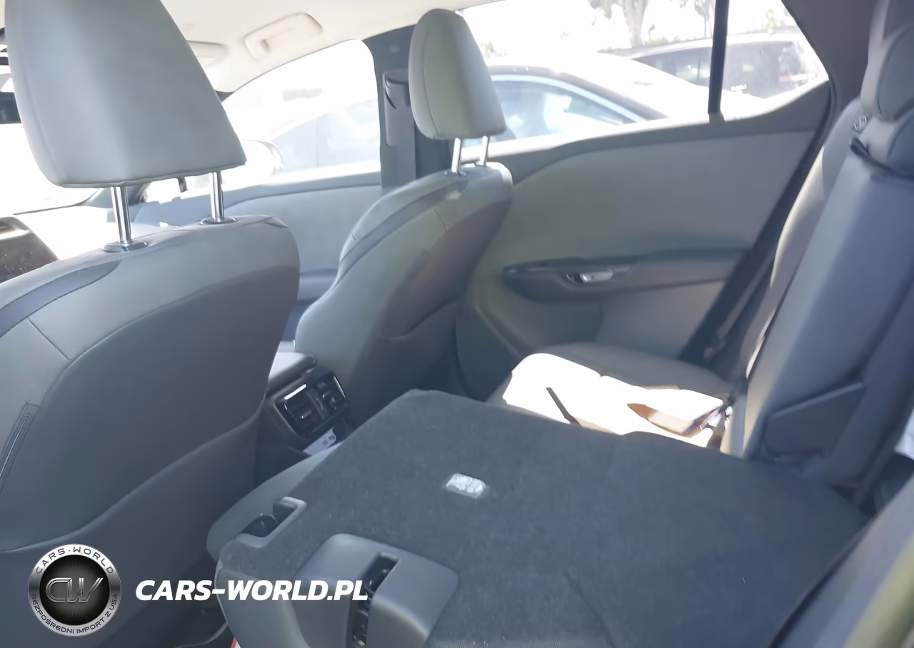 2025 Lexus Rz 300E VIN:JTJABABB7SA012837 - 23