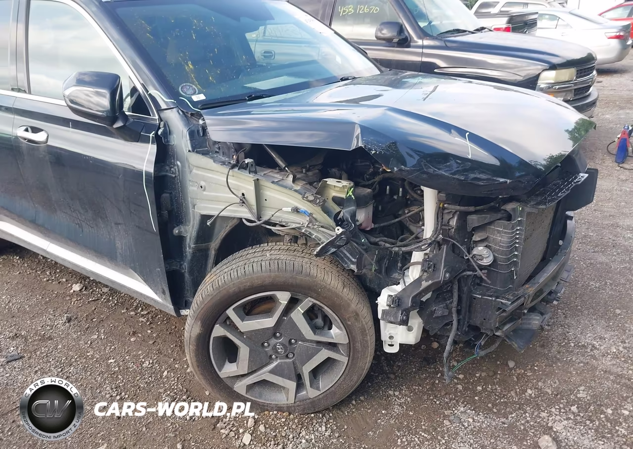2023 Hyundai Palisade Limited VIN:KM8R5DGE6PU605124 - 6