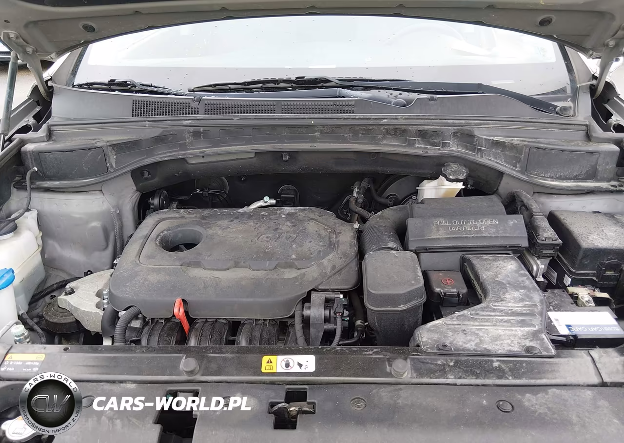 2017 Hyundai Santa Fe Sport 2.4L VIN:5XYZUDLB2HG445295 - 10