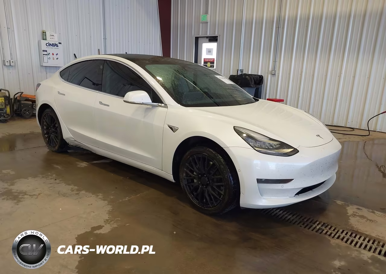 2020 Tesla Model 3 Standard Range Plus Rear-Wheel Drive-Standard Range Rear-Wheel Drive – zdjęcie 1 z 15