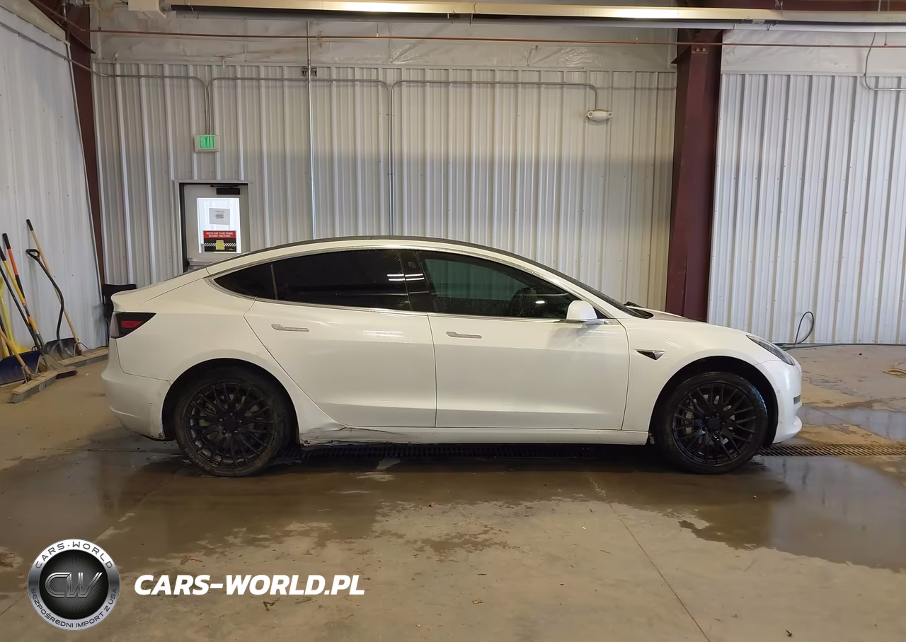 2020 Tesla Model 3 Standard Range Plus Rear-Wheel Drive-Standard Range Rear-Wheel Drive VIN:5YJ3E1EA2LF632820 - 12