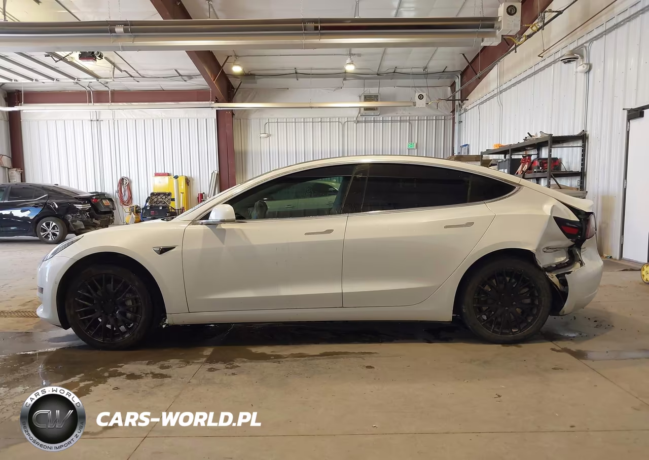 2020 Tesla Model 3 Standard Range Plus Rear-Wheel Drive-Standard Range Rear-Wheel Drive VIN:5YJ3E1EA2LF632820 - 13