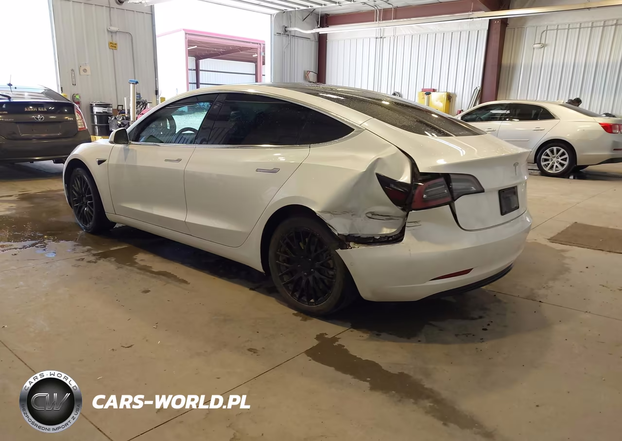 2020 Tesla Model 3 Standard Range Plus Rear-Wheel Drive-Standard Range Rear-Wheel Drive VIN:5YJ3E1EA2LF632820 - 3