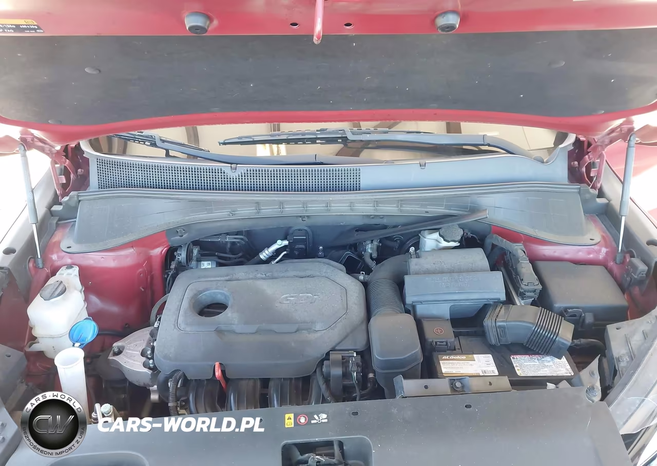 2017 Kia Sorento 2.4L Lx VIN:5XYPG4A39HG216669 - 10