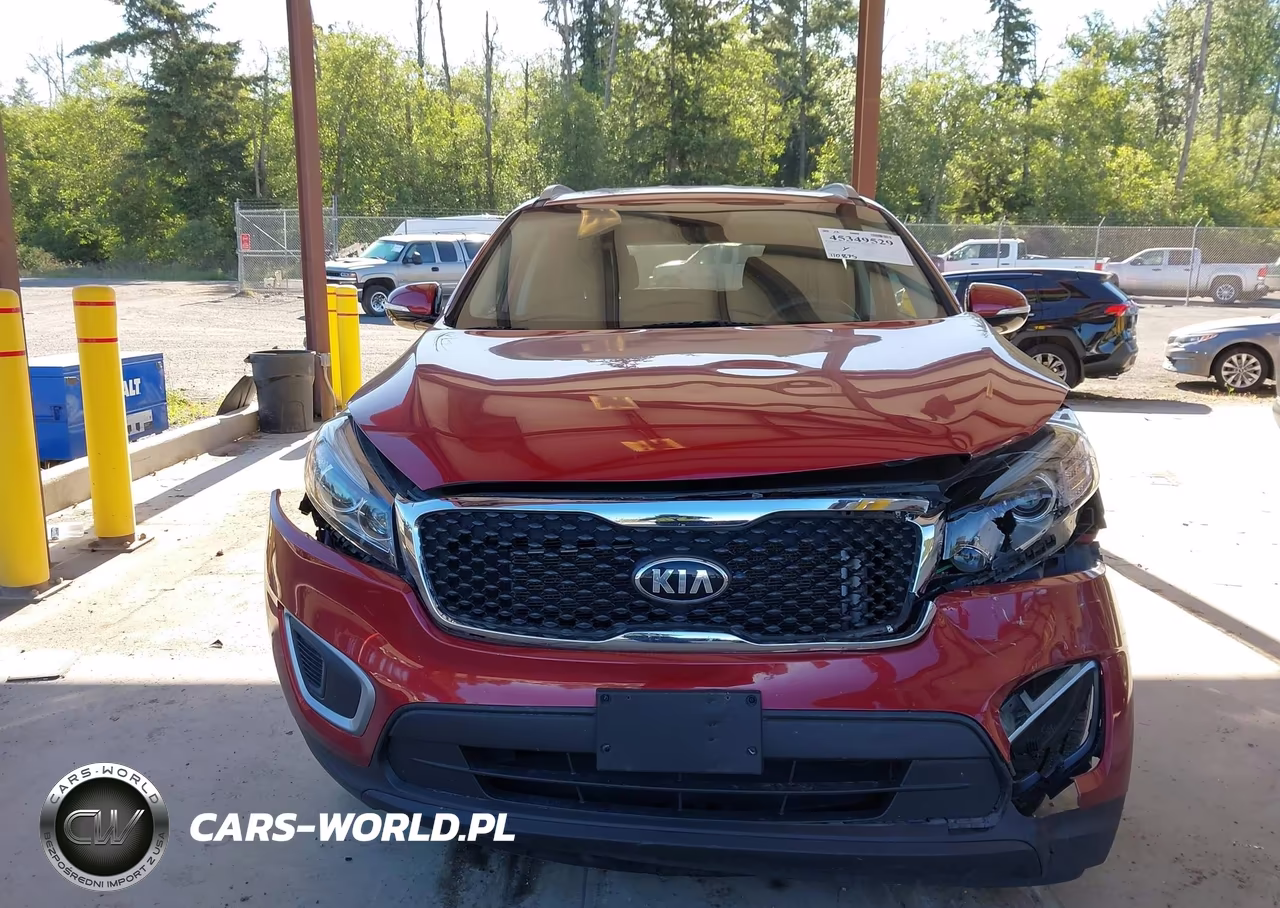2017 Kia Sorento 2.4L Lx VIN:5XYPG4A39HG216669 - 12