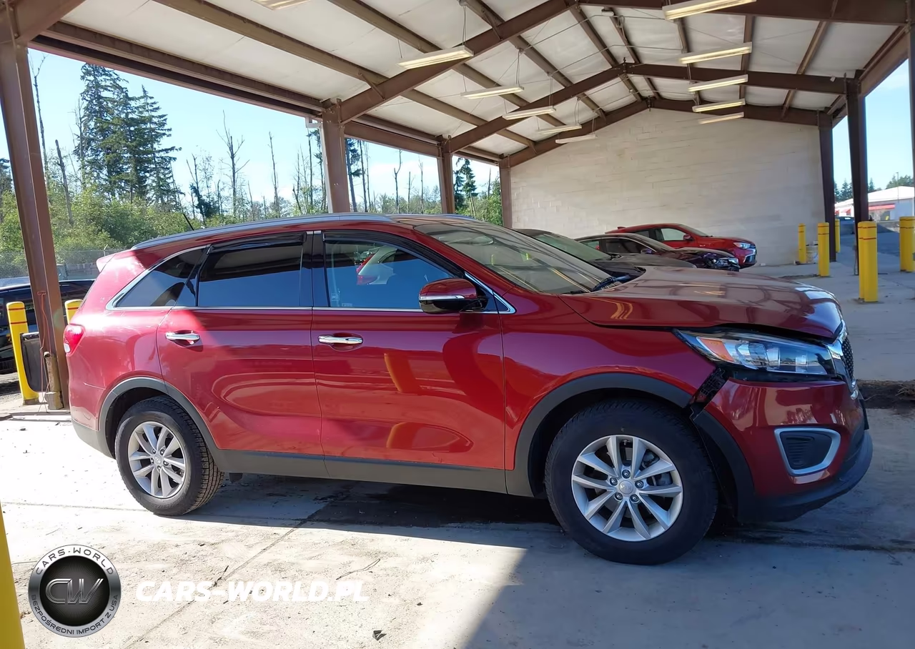 2017 Kia Sorento 2.4L Lx VIN:5XYPG4A39HG216669 - 13