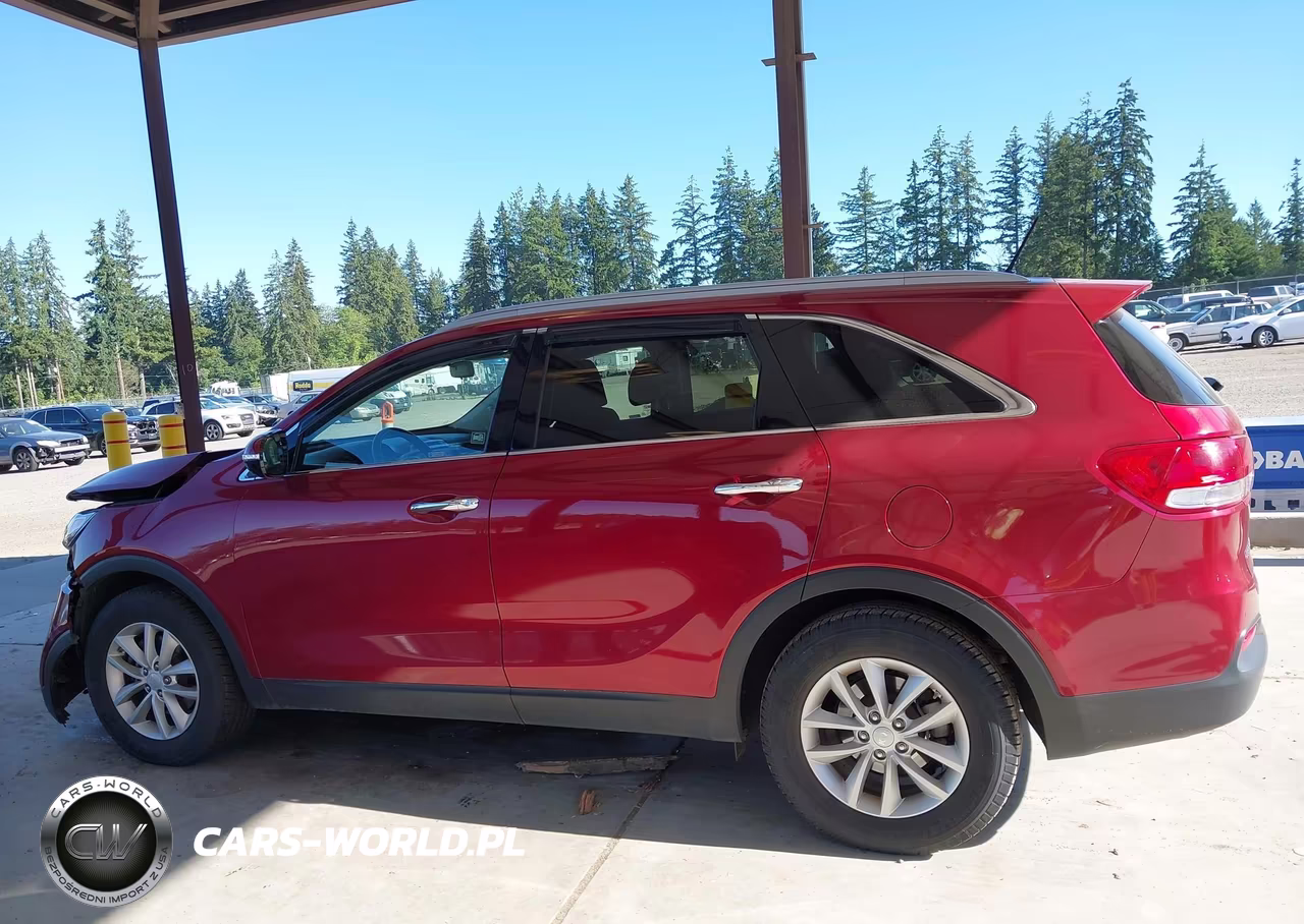 2017 Kia Sorento 2.4L Lx VIN:5XYPG4A39HG216669 - 14