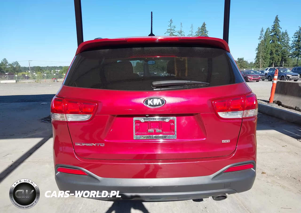 2017 Kia Sorento 2.4L Lx VIN:5XYPG4A39HG216669 - 16