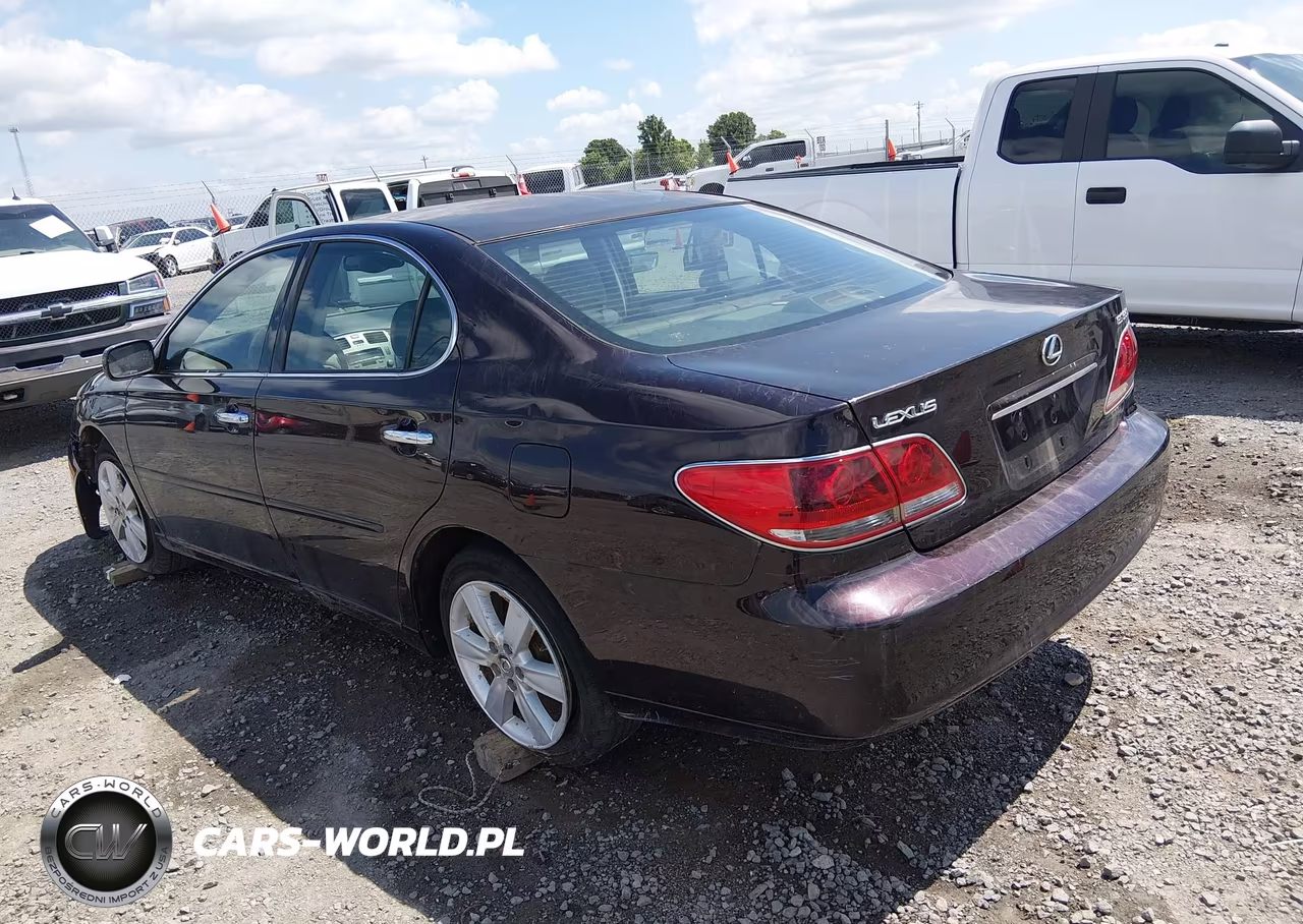 2005 Lexus Es 330 VIN:JTHBA30G055107773 - 3