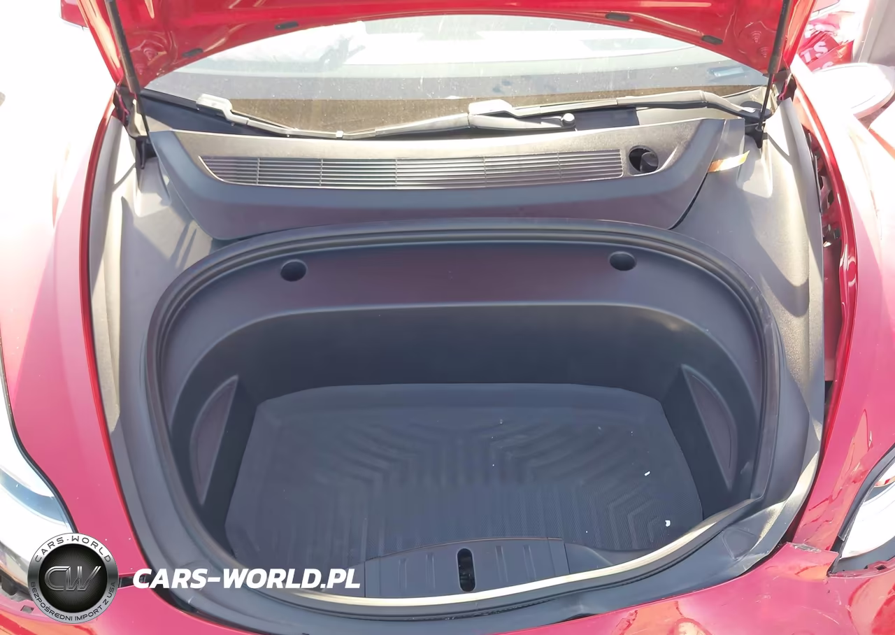 2020 Tesla Model 3 Standard Range Plus Rear-Wheel Drive-Standard Range Rear-Wheel Drive VIN:5YJ3E1EA6LF804623 - 10