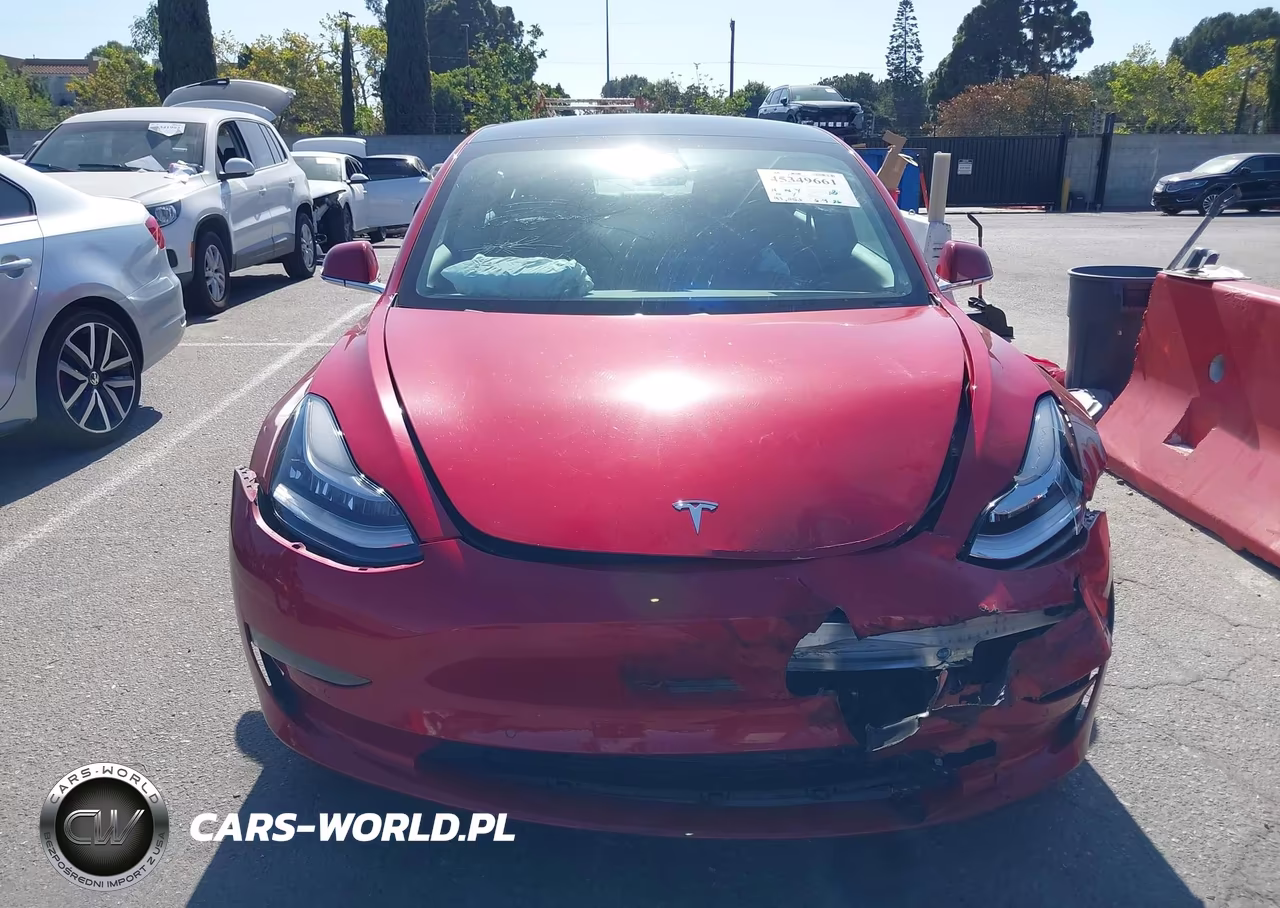 2020 Tesla Model 3 Standard Range Plus Rear-Wheel Drive-Standard Range Rear-Wheel Drive VIN:5YJ3E1EA6LF804623 - 12