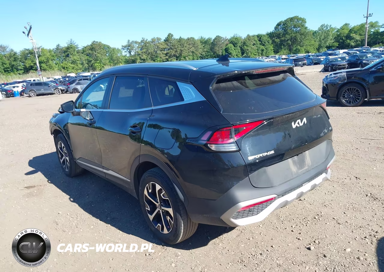 2024 Kia Sportage Ex VIN:5XYK3CDF5RG148961 - 14