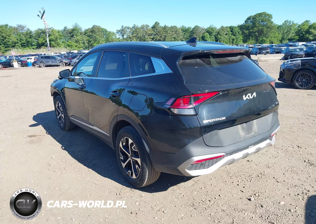 2024 Kia Sportage Ex VIN:5XYK3CDF5RG148961 - 3