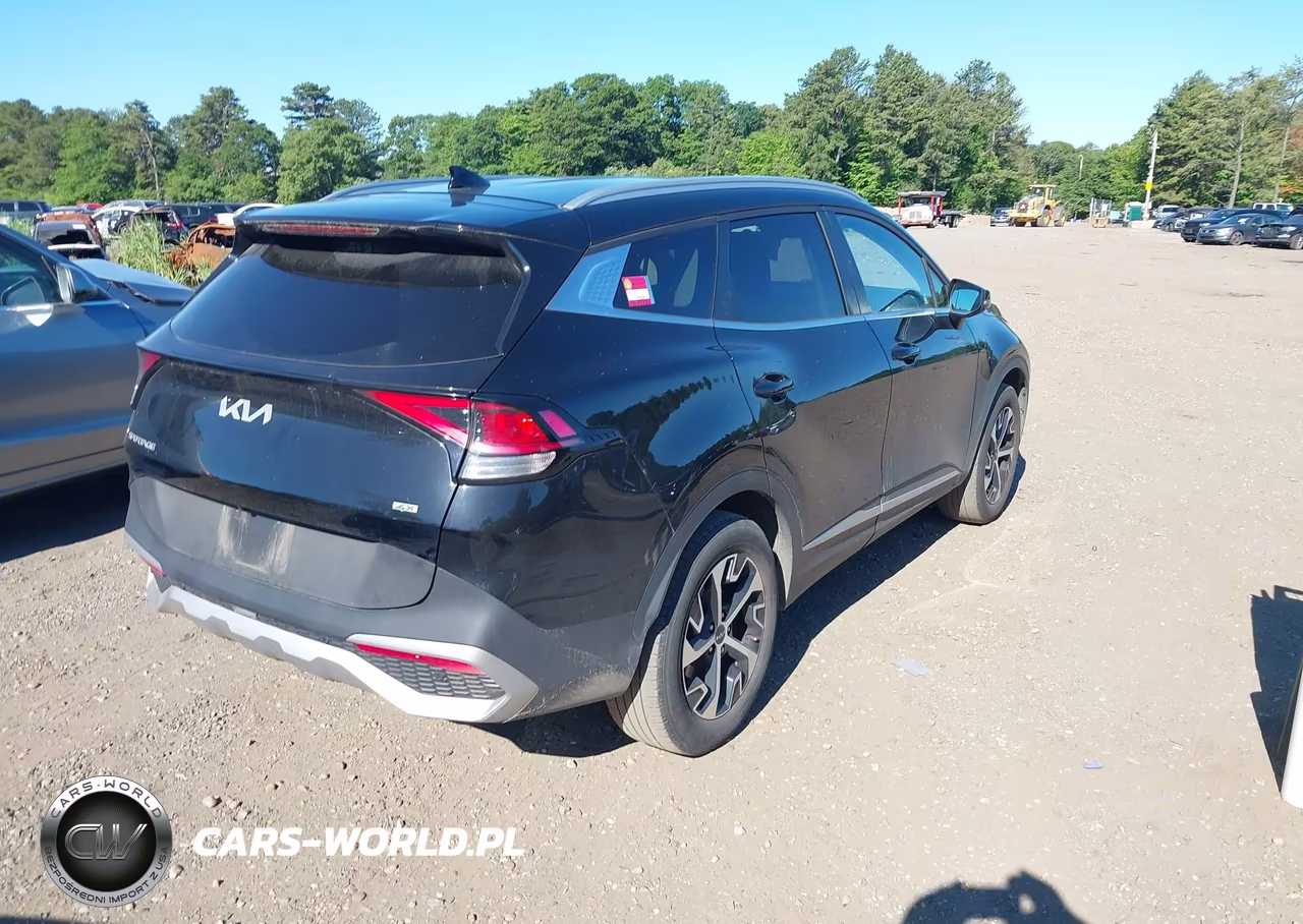 2024 Kia Sportage Ex VIN:5XYK3CDF5RG148961 - 4