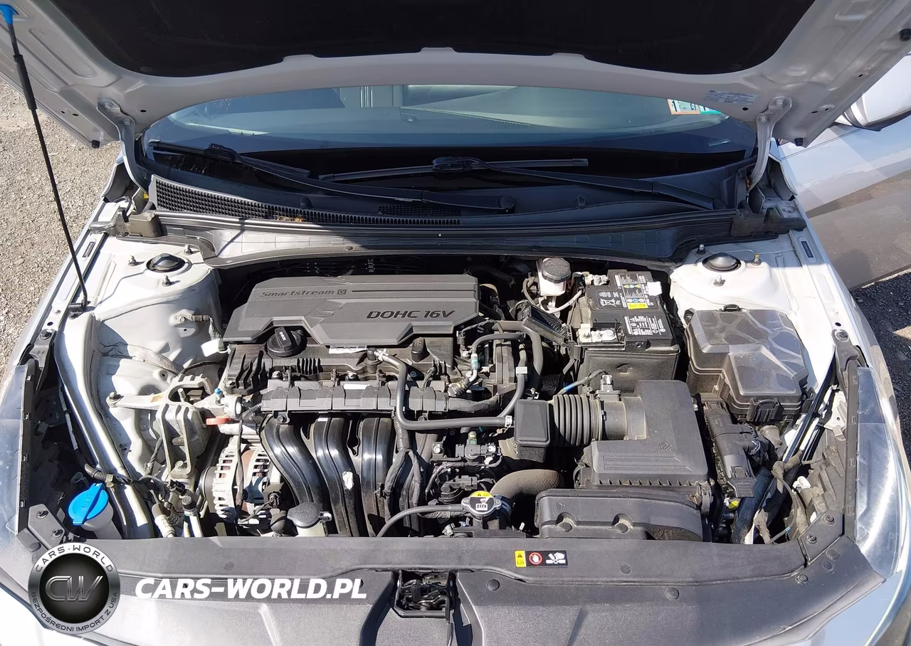2021 Hyundai Elantra Sel VIN:5NPLM4AG9MH006392 - 10
