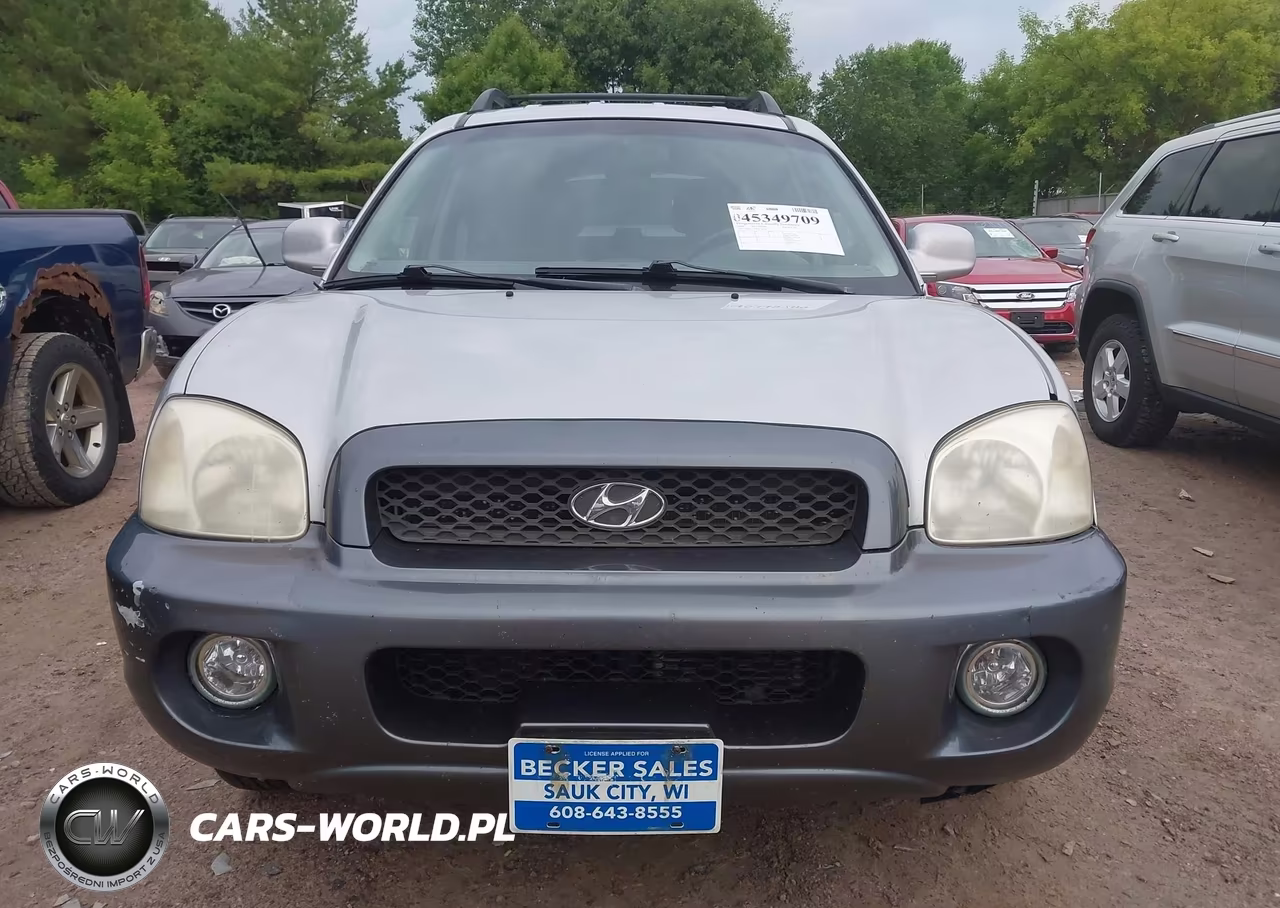 2004 Hyundai Santa Fe Gls VIN:KM8SC13D84U648393 - 12