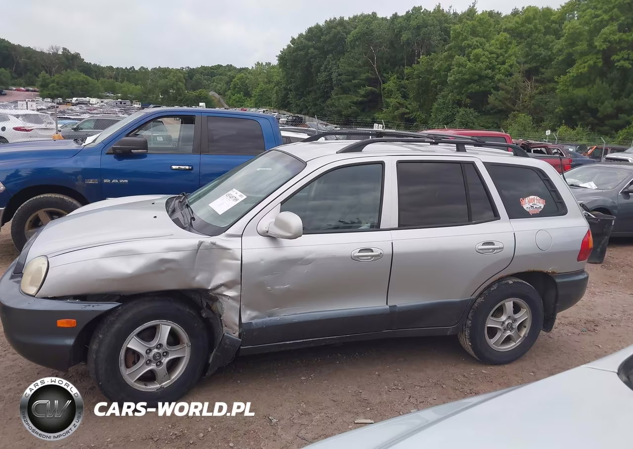2004 Hyundai Santa Fe Gls VIN:KM8SC13D84U648393 - 14