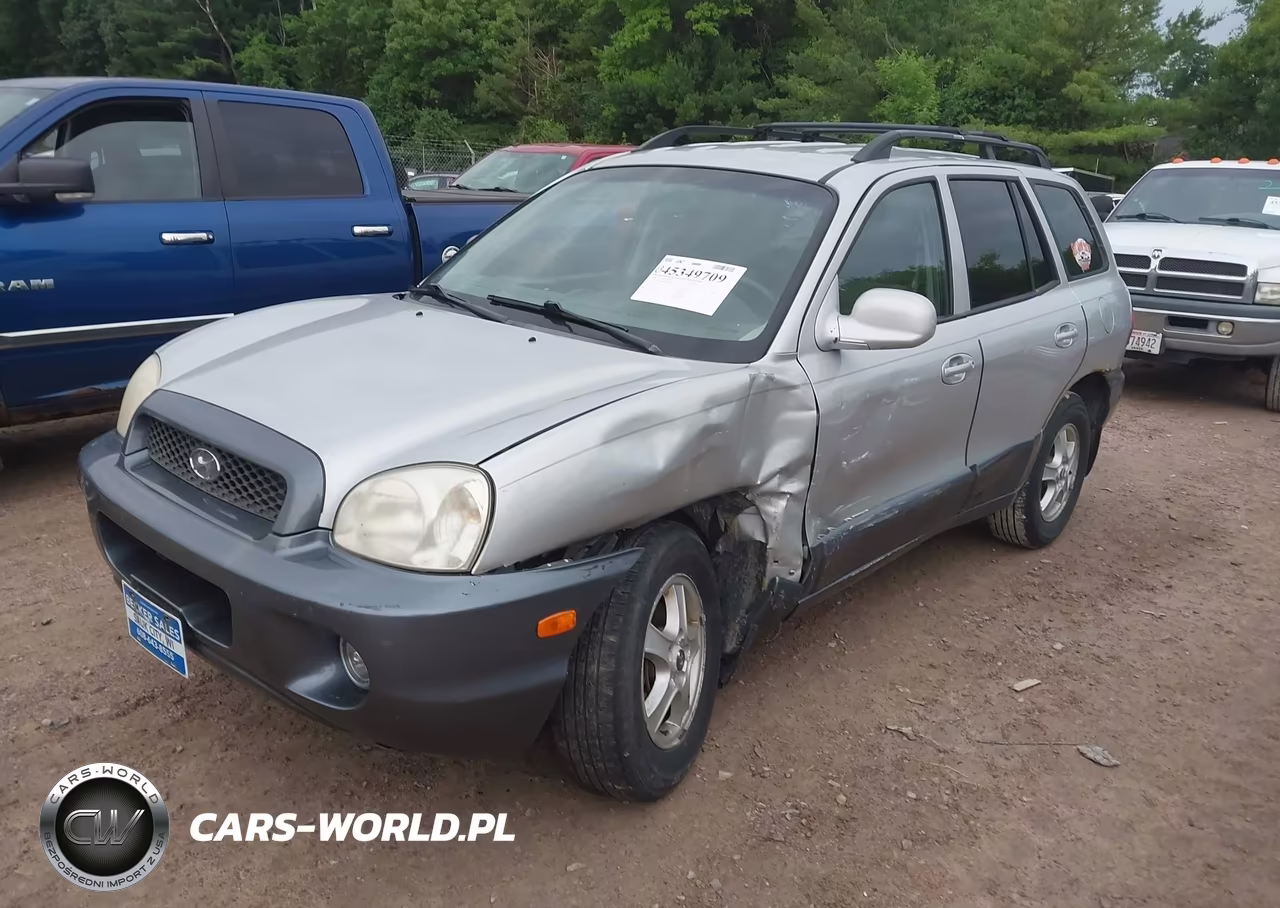2004 Hyundai Santa Fe Gls VIN:KM8SC13D84U648393 - 2