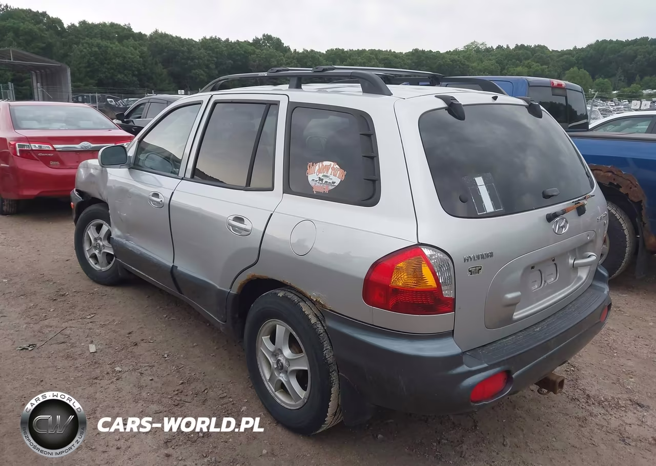 2004 Hyundai Santa Fe Gls VIN:KM8SC13D84U648393 - 3
