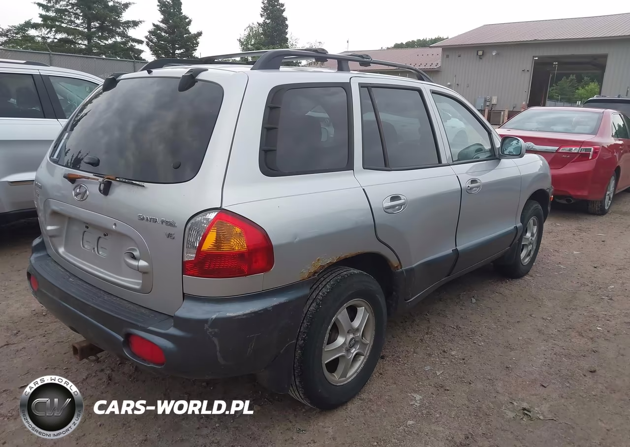 2004 Hyundai Santa Fe Gls VIN:KM8SC13D84U648393 - 4