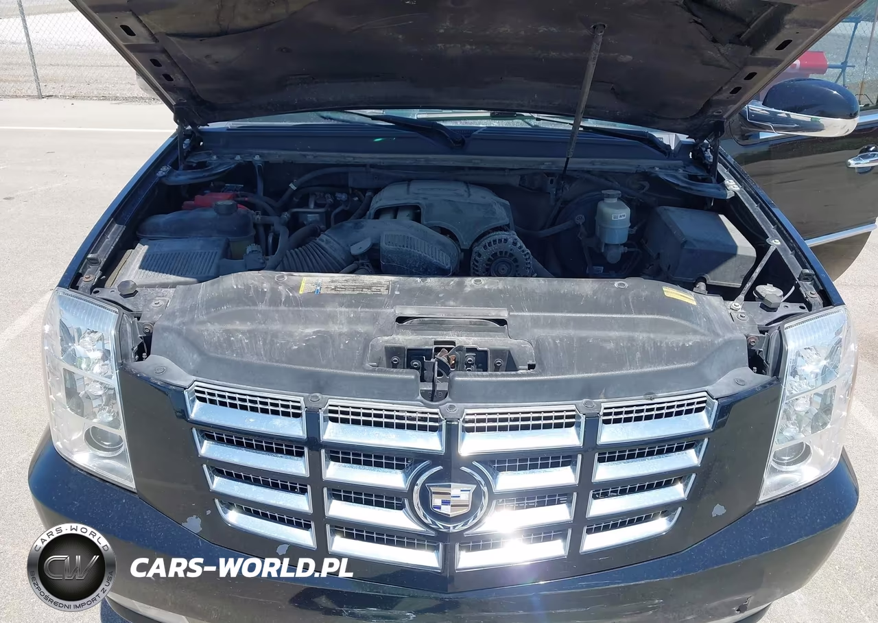 2011 Cadillac Escalade Esv Premium VIN:1GYS4JEF2BR186522 - 10